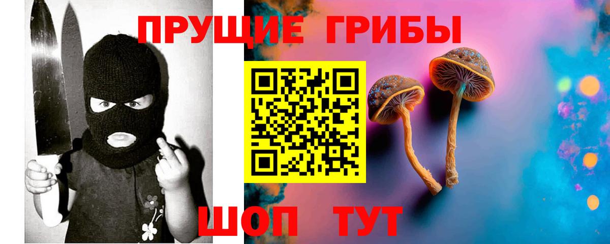 Галлюциногенные грибы Psilocybe Кушва